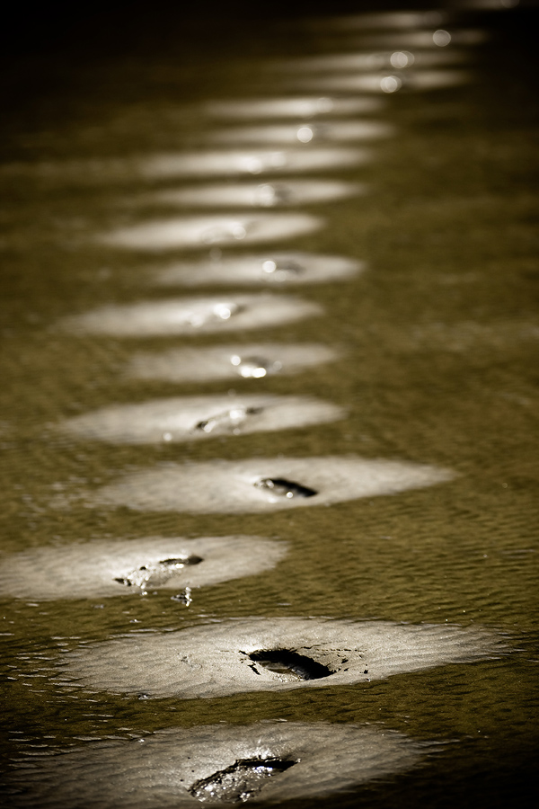 Foot prints on Beach
