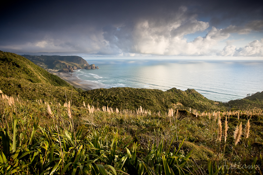 Piha View Anawhata