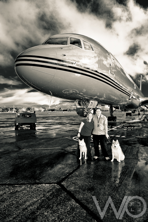 Whenuapai Air Base Dogs - Huskies
