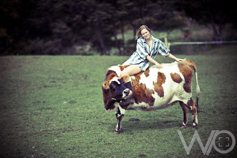 Riding a Cow