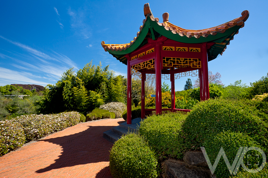 Hamilton Gardens Feature