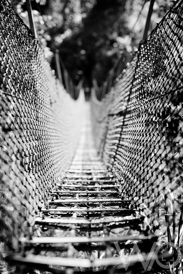 Pinnacles Suspension Bridge