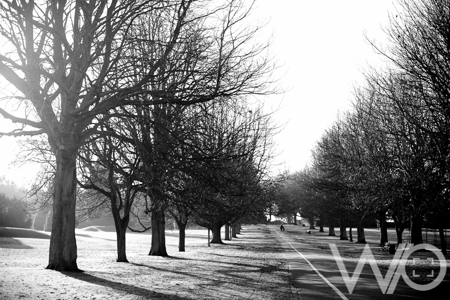 Danson Park black and white trees