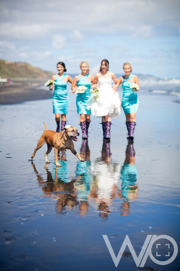 Auckland Wedding Photographers