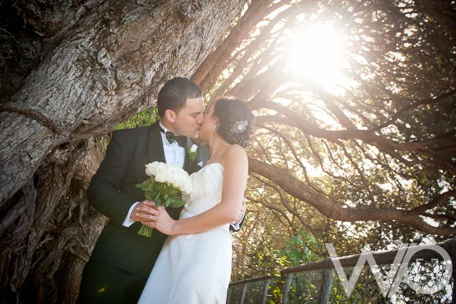 Auckland Wedding Photos
