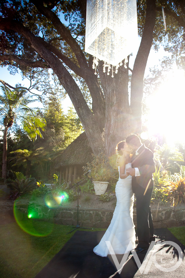 Auckland Wedding Photos