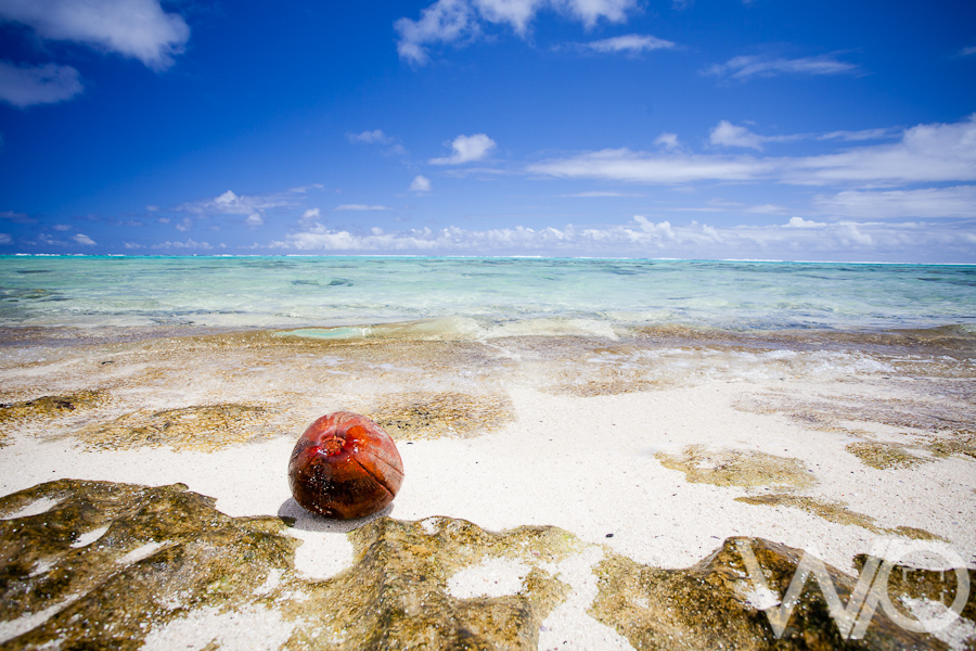 coconut on beach Rarotonga