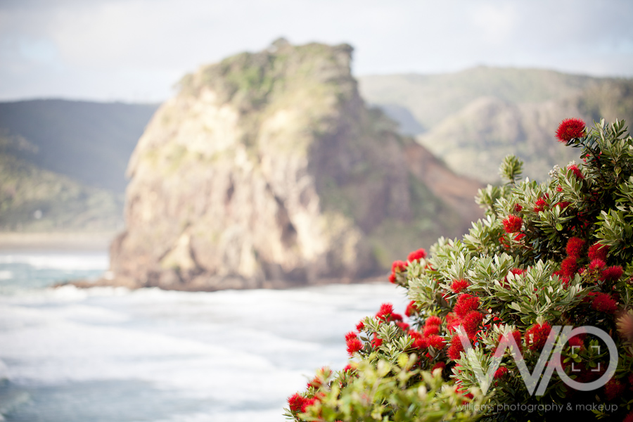 Pohutukawa Piha