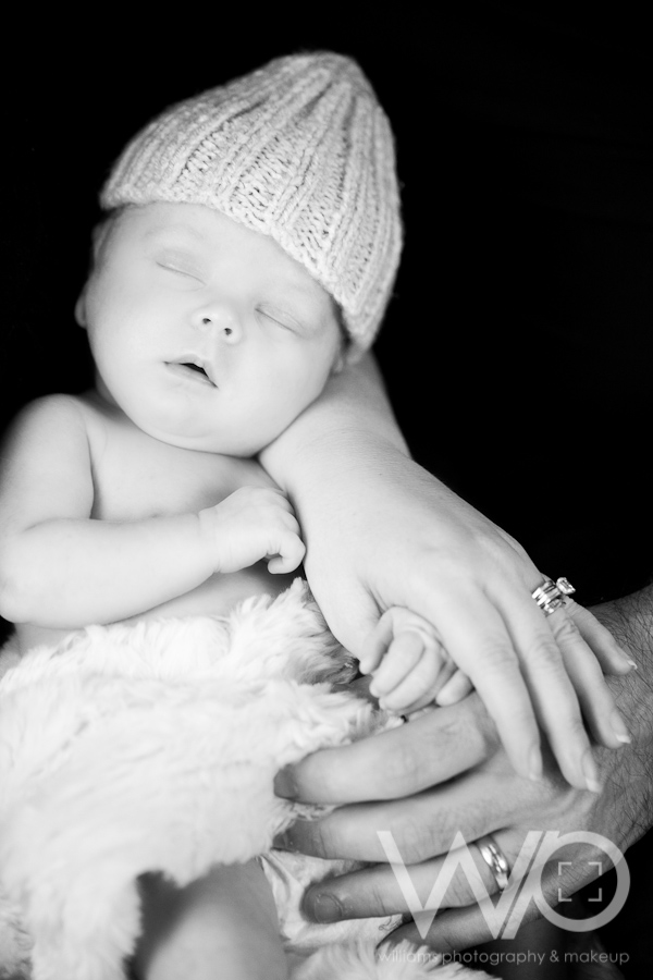 Auckland Newborn Photographers