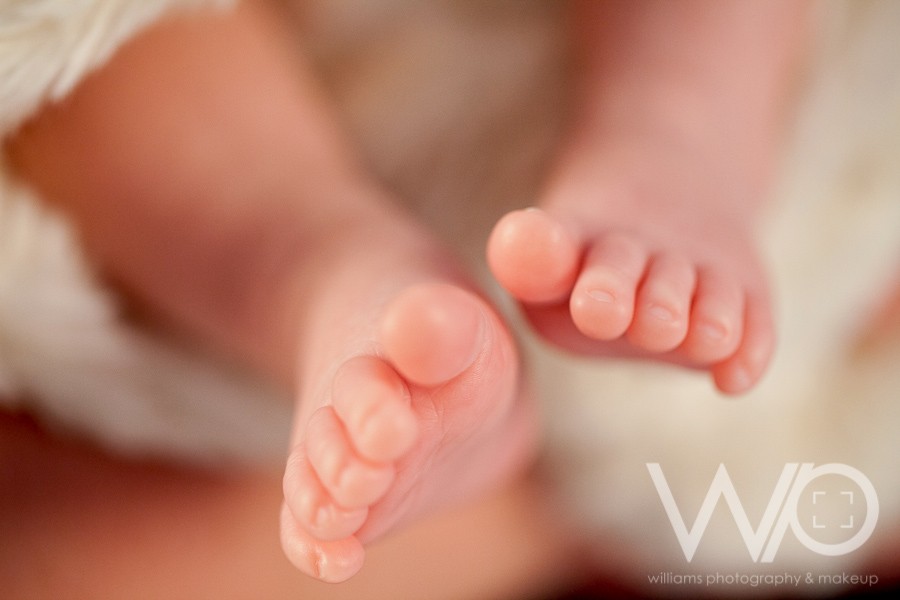 Auckland Newborn Photographers