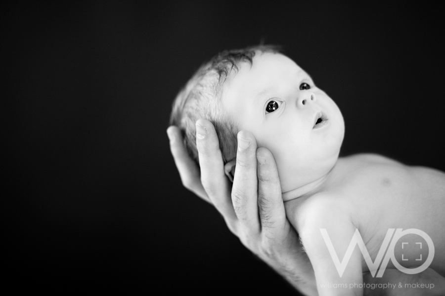 Auckland Newborn Photographers
