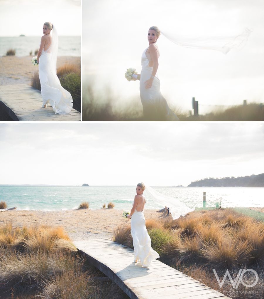 Waiheke Wedding Photos