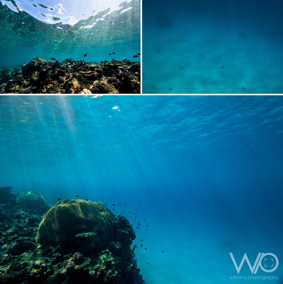 Underwater photos Fiji