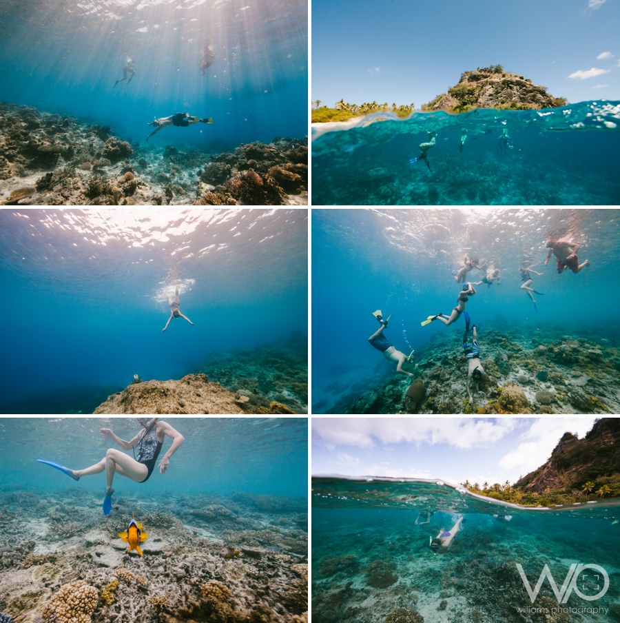 Fiji Underwater Photos