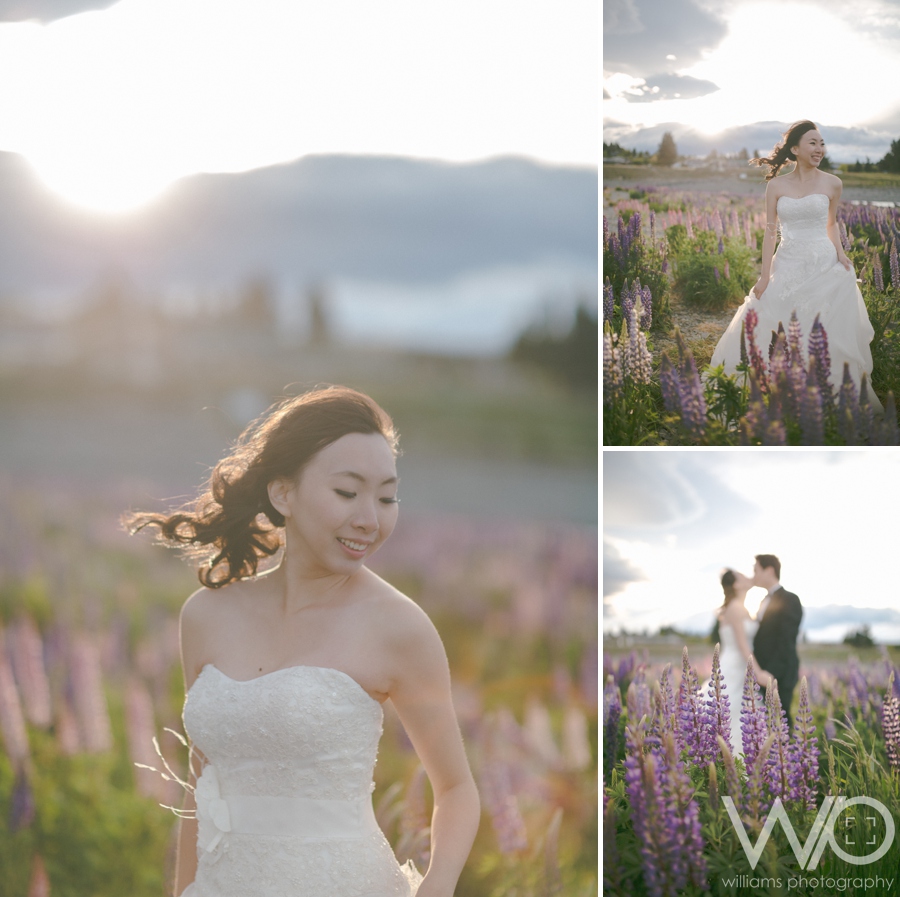 Tekapo Lupins Wedding Photography