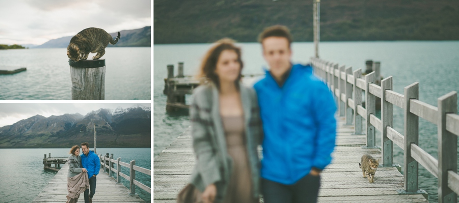 Queenstown Photographers Photo bomb Cat