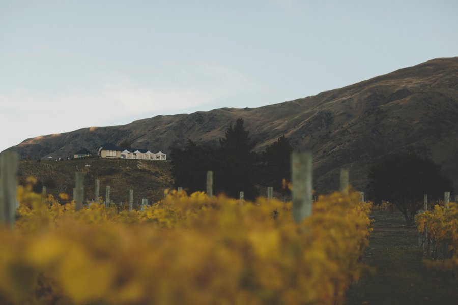 Rippon Wanaka Wedding Photos