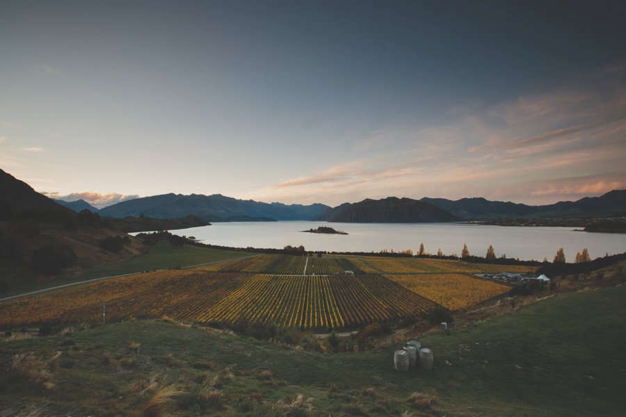 Rippon Wanaka Wedding Photos