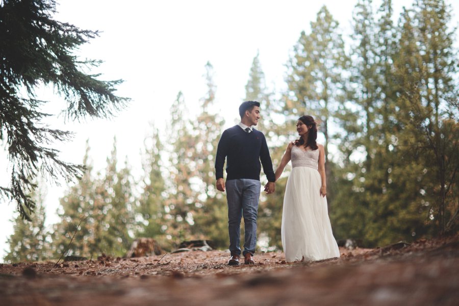 New Zealand Pre-Wedding Photos