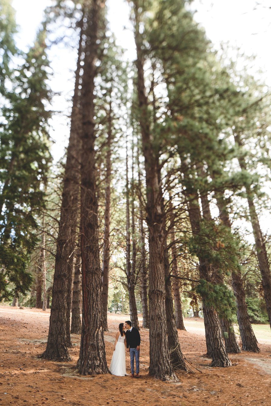 New Zealand Pre-Wedding Photos