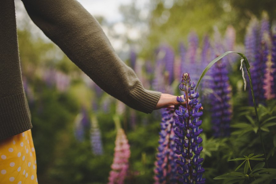 Queenstown engagement photographer