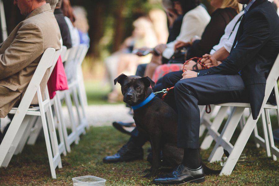 New Zealand Wedding Photographers