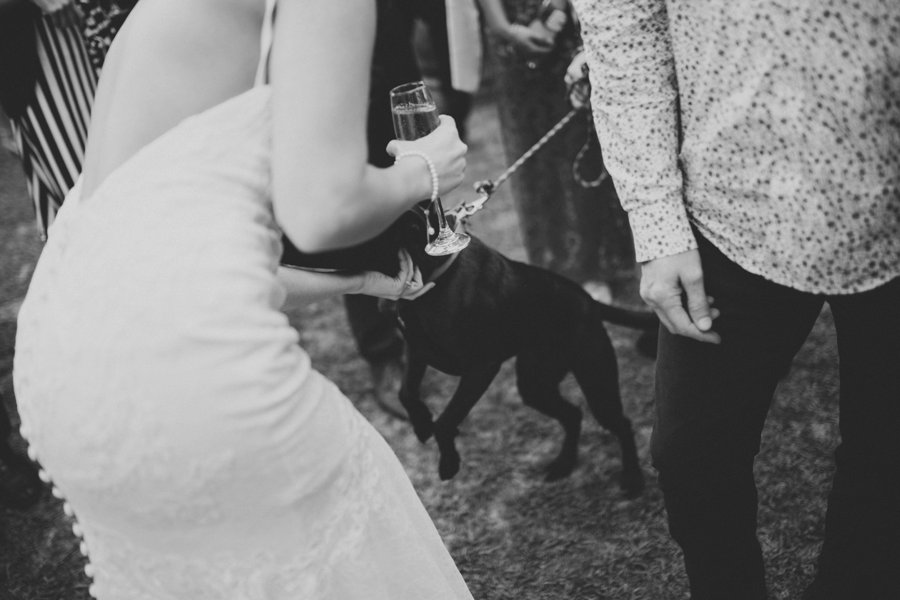 New Zealand Wedding Photographers
