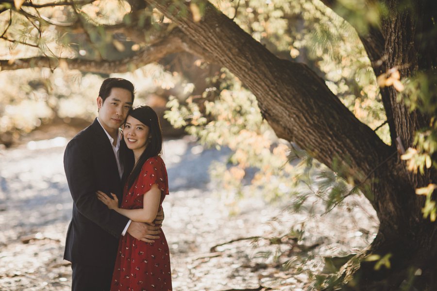 Queenstown Photographers