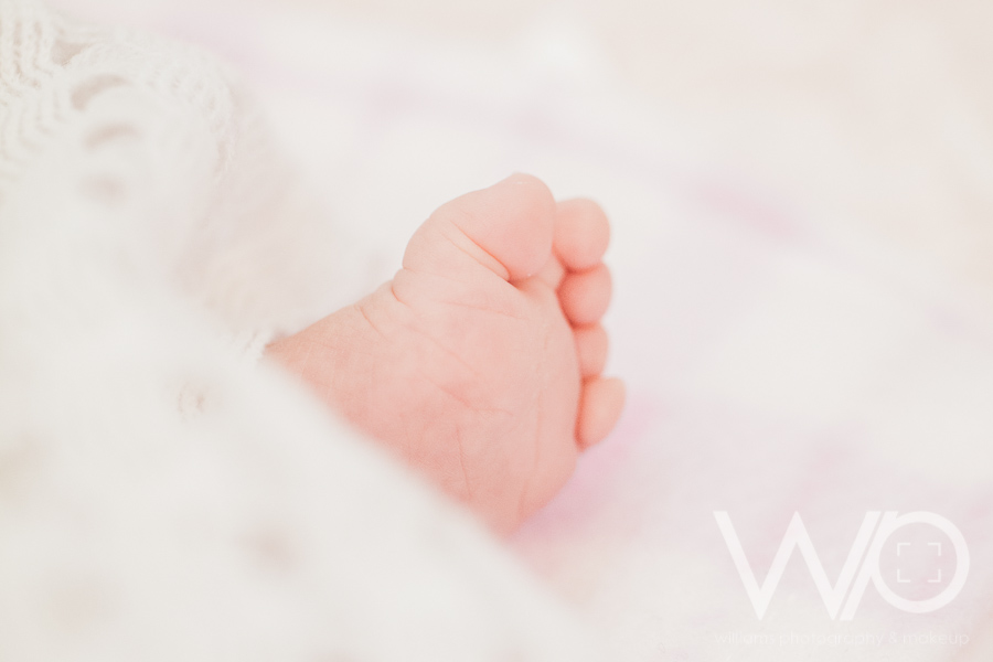Newborn Photographers