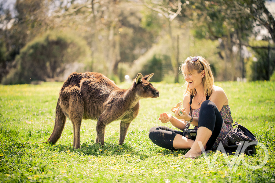 Cleland Wildlife Park Photos