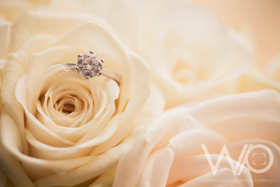 Auckland Wedding Photographers