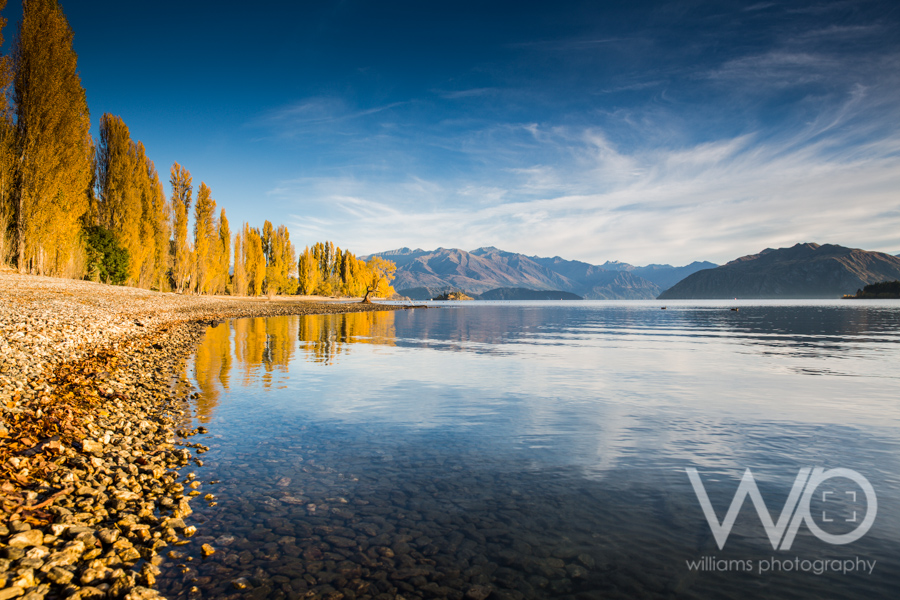 Wanaka Autumn Colours