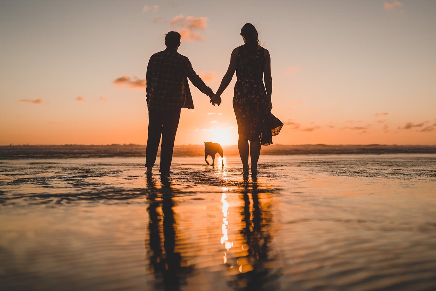 Auckland Engagement Photographer