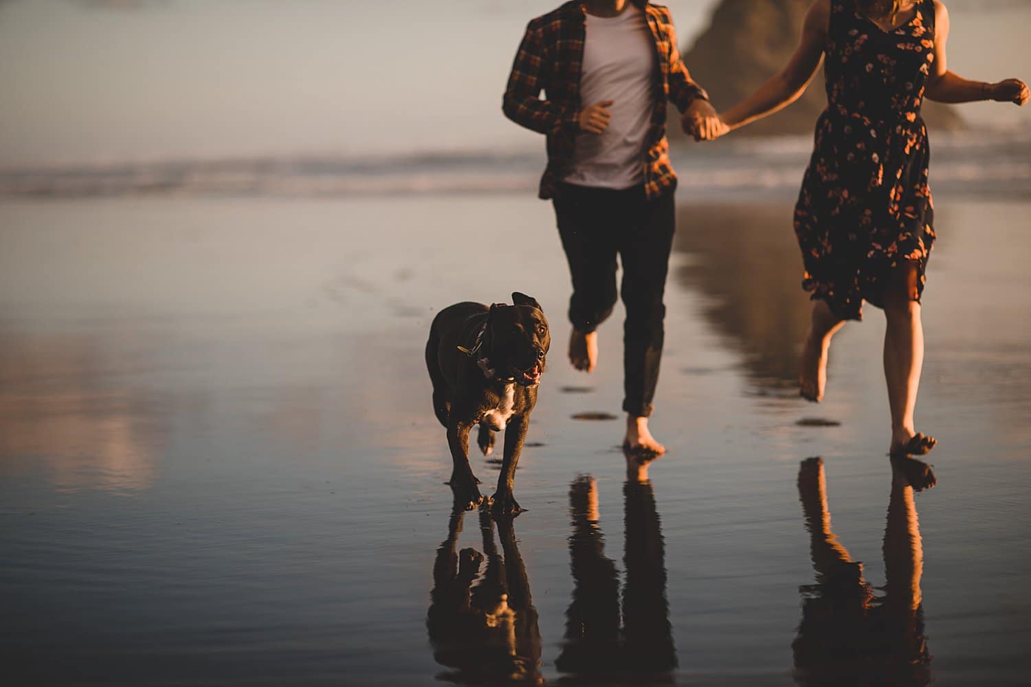 Auckland Engagement Photographer