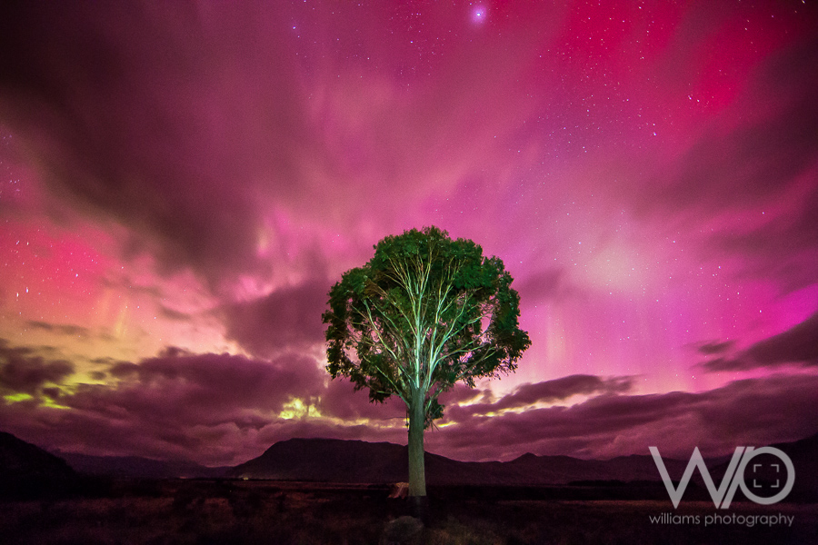 Amazing Aurora New Zealand