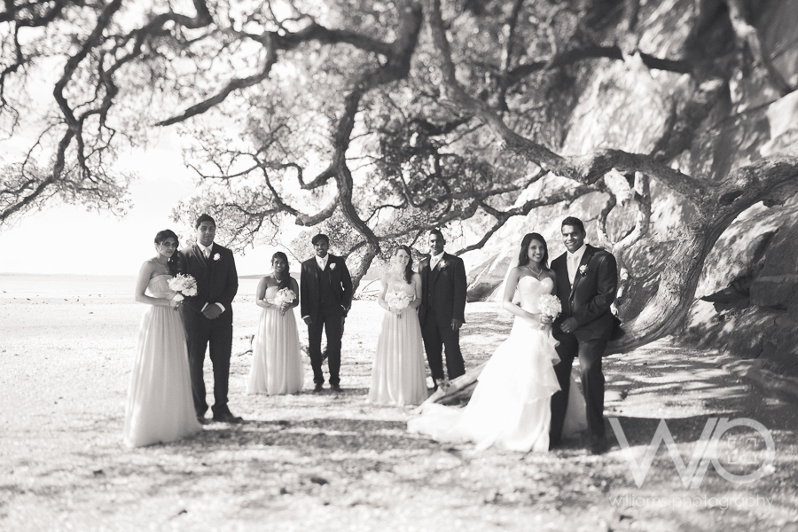 Orakei Bay Wedding Photos