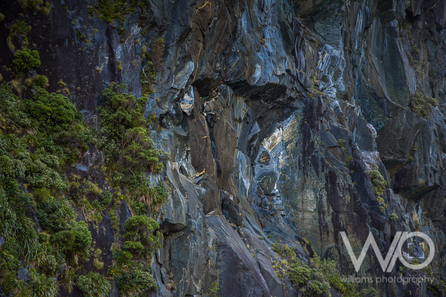 Milford Sound Cruise