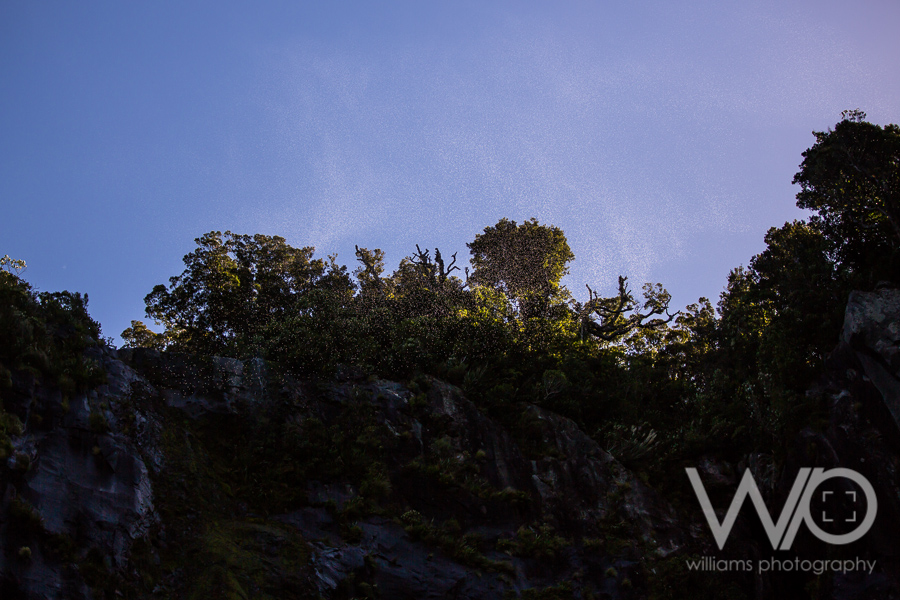 Milford Sound Cruise