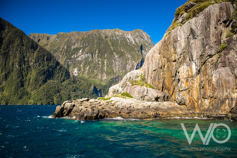 Milford Sound Cruise