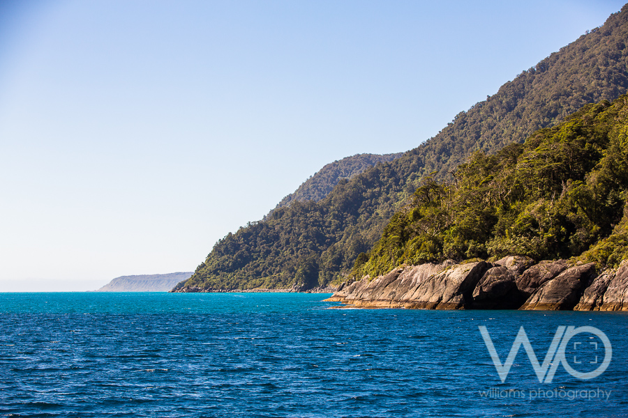 Milford Sound Cruise