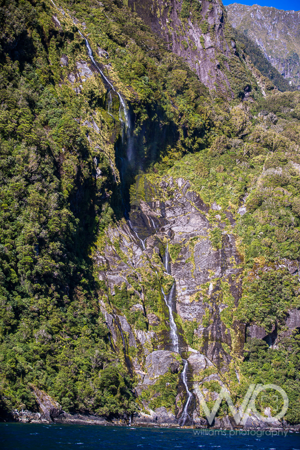 Milford Sound Cruise