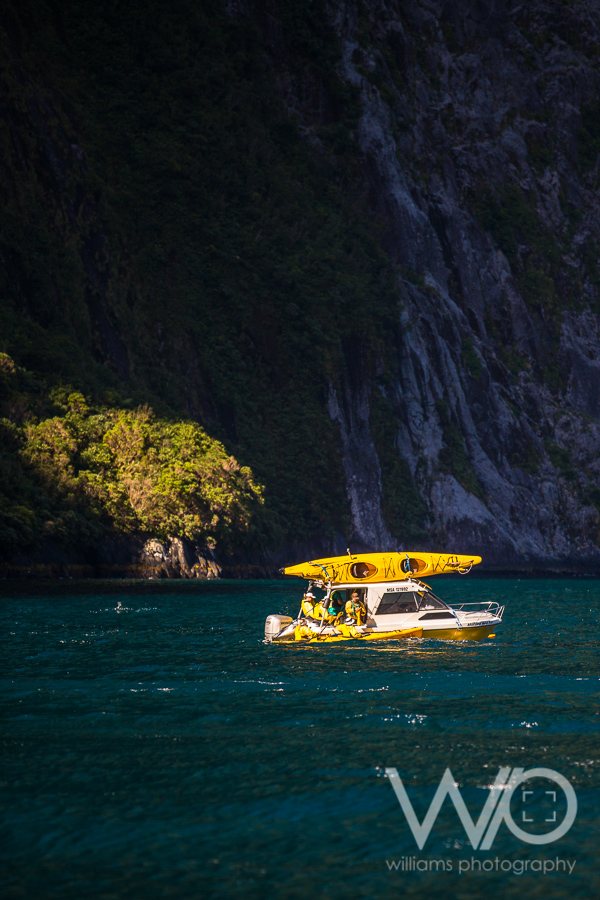 Milford Sound Cruise