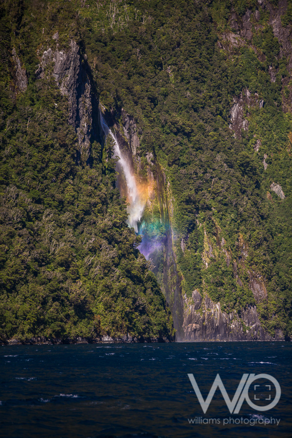 Milford Sound Cruise