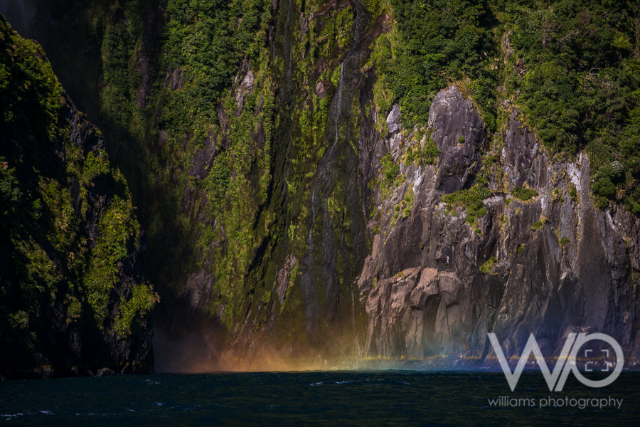Milford Sound Cruise