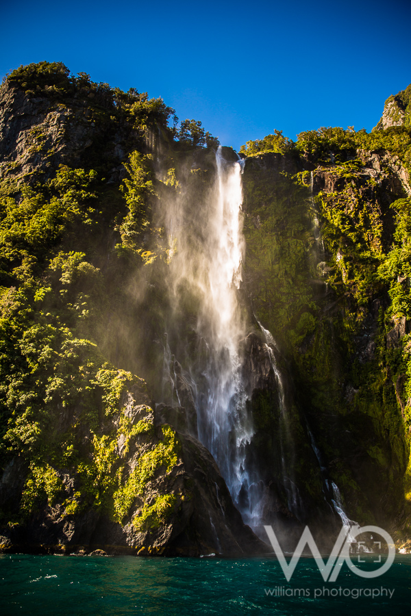 Milford Sound Cruise