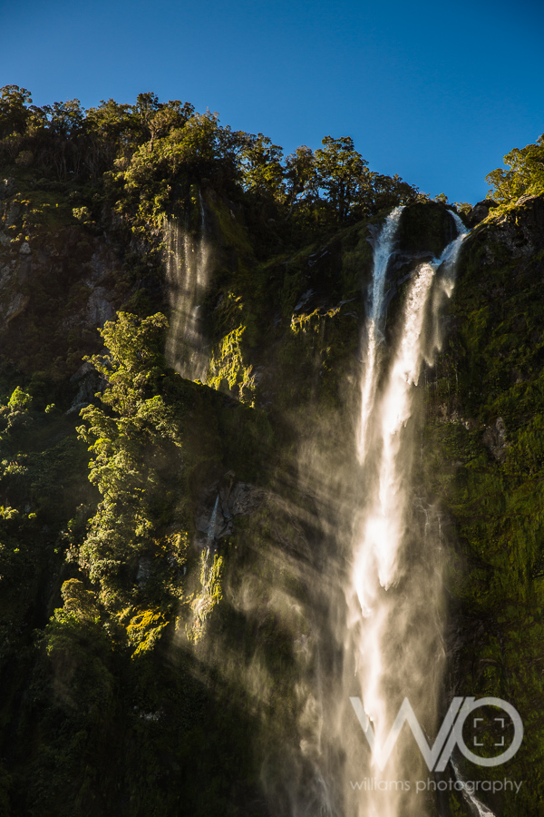 Milford Sound Cruise