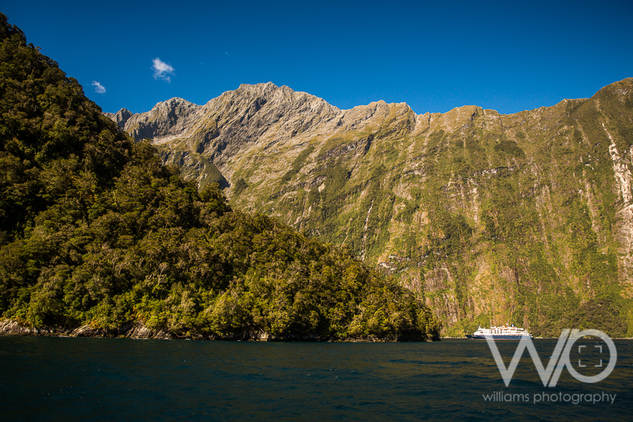 Milford Sound Cruise