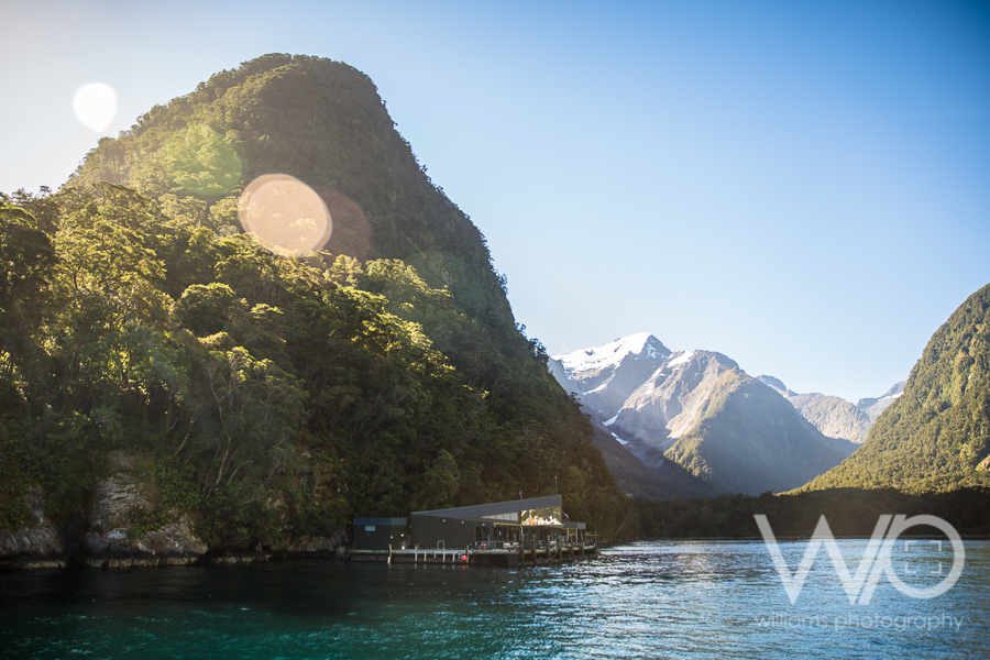 Milford Sound Cruise