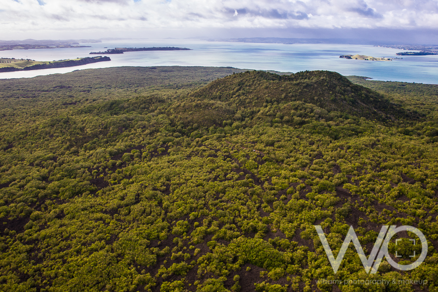 Rangitoto Island