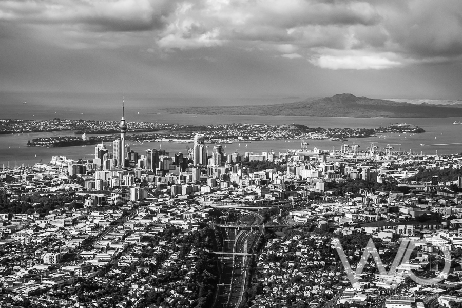 Auckland City black & white